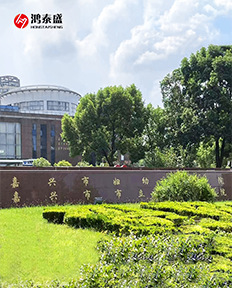 足底壓力檢測(cè)儀，人體姿態(tài)檢測(cè)儀